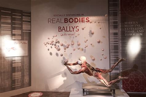 bally body exhibit military discount